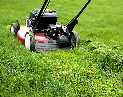 Lawn Care Rental Properties